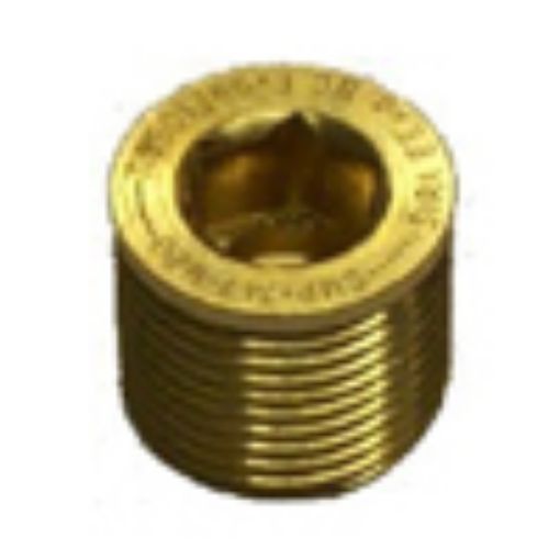 Picture of M25 Brass EEXD Blanking Plugs Socket Type 312033