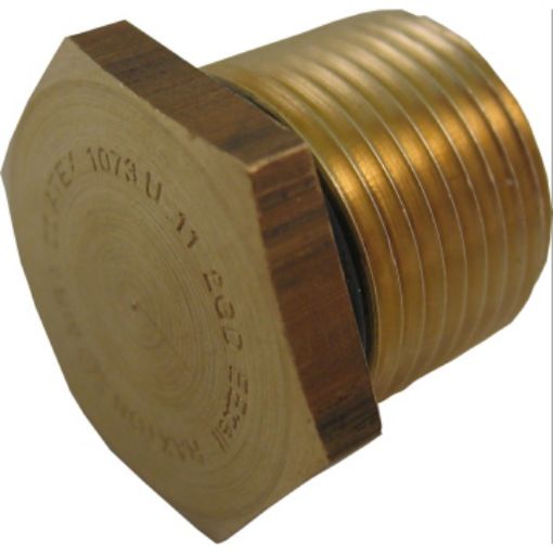 Picture of M16 Brass EEXE Hexagon Faced Stopping Plug 312050