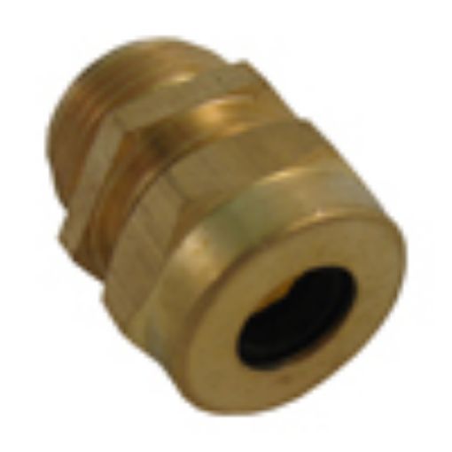 Picture of M25   Brass TRS Gland 312022