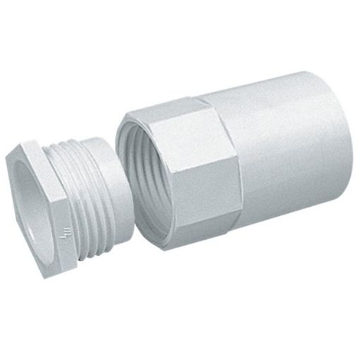 Picture of M20 White PVC Female Adaptor with Hexagon Bush 337603