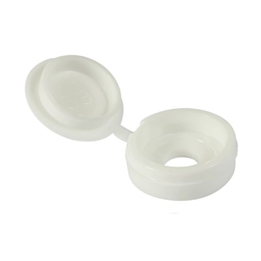 Picture of Chrome Plastidome Cover Caps (2 Parts) 301103